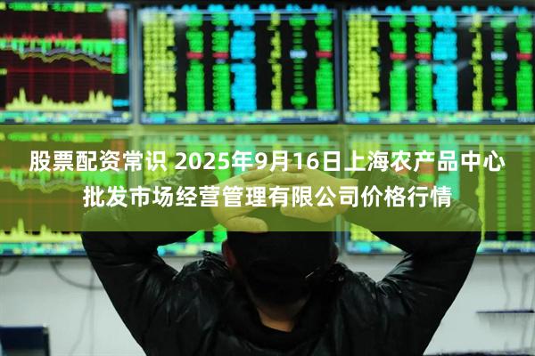 股票配资常识 2025年9月16日上海农产品中心批发市场经营管理有限公司价格行情