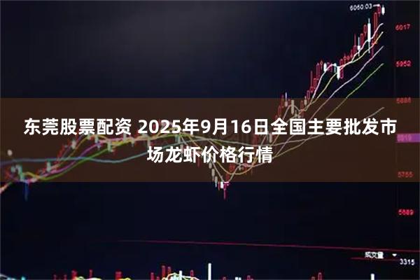 东莞股票配资 2025年9月16日全国主要批发市场龙虾价格行情