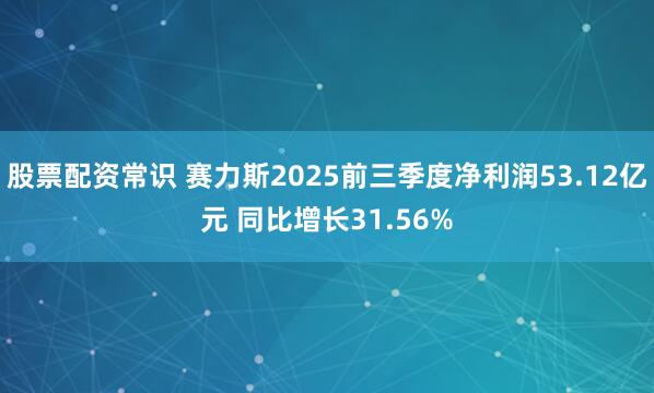 股票配资常识 赛力斯2025前三季度净利润53.12亿元 同比增长31.56%