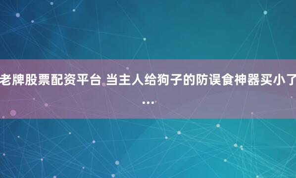 老牌股票配资平台 当主人给狗子的防误食神器买小了...