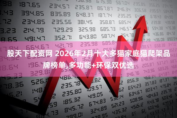 股天下配资网 2026年2月十大多猫家庭猫爬架品牌榜单,多功能+环保双优选