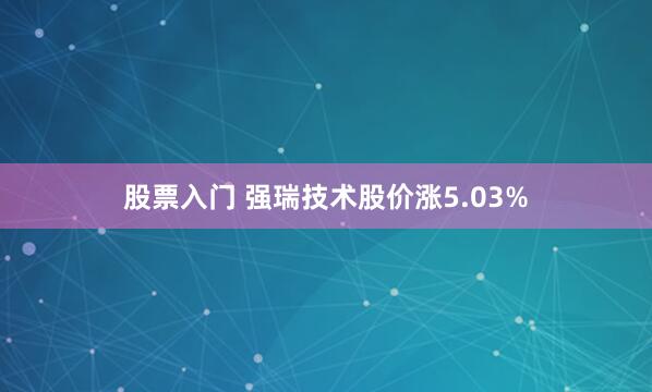 股票入门 强瑞技术股价涨5.03%
